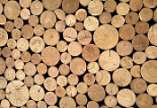 Свойства, по которым выбирают древесину для конкретных целей